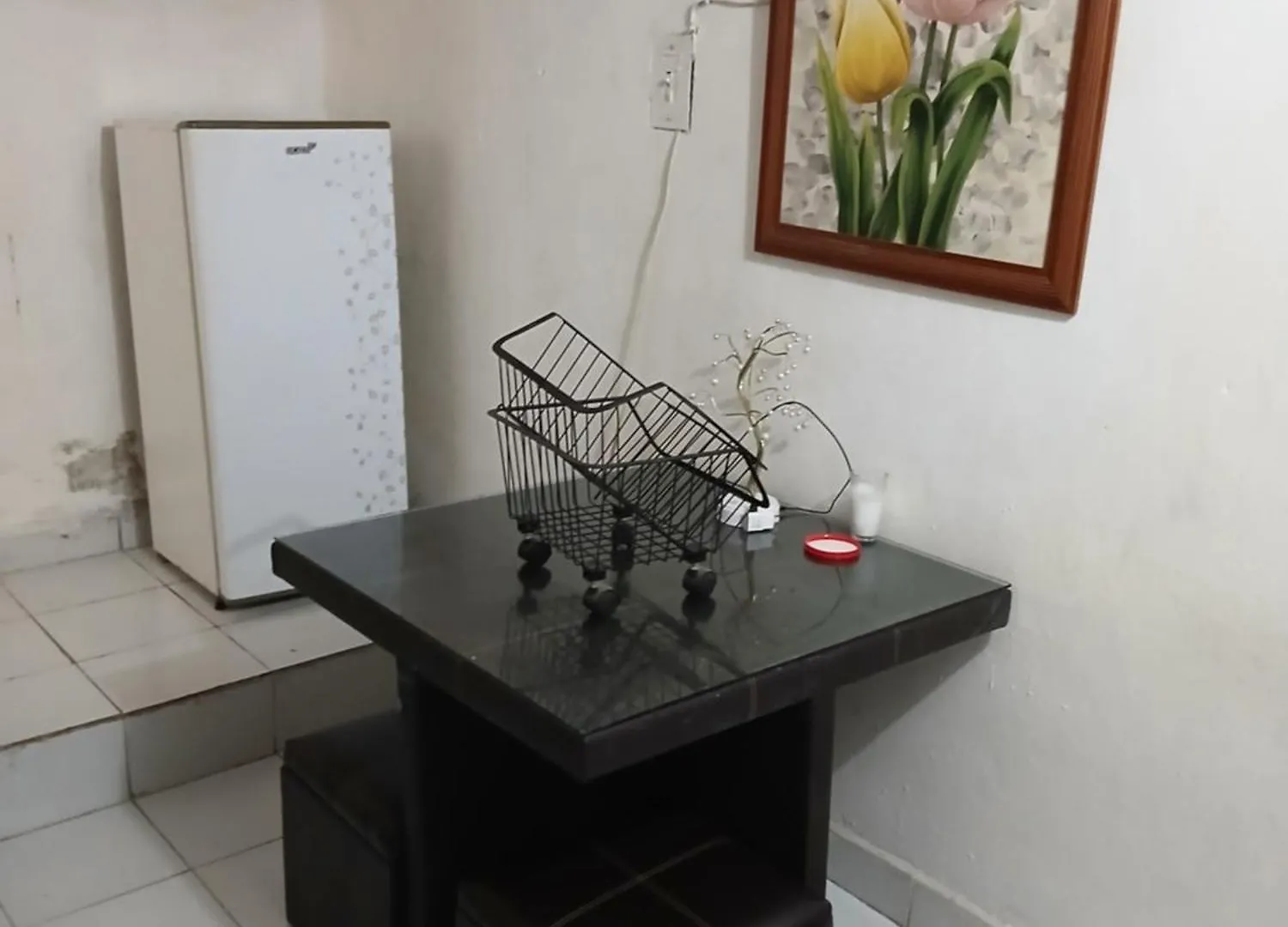 Rhinos House Apartment Cozumel Mexico