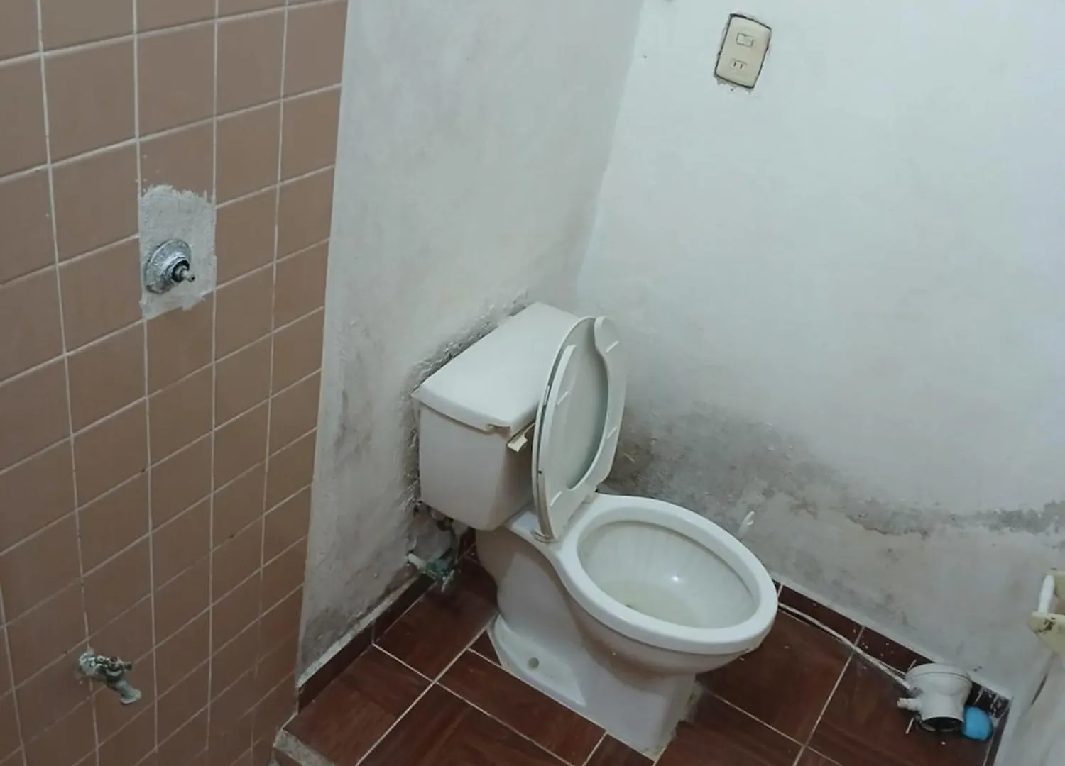 Rhinos House Apartment Cozumel